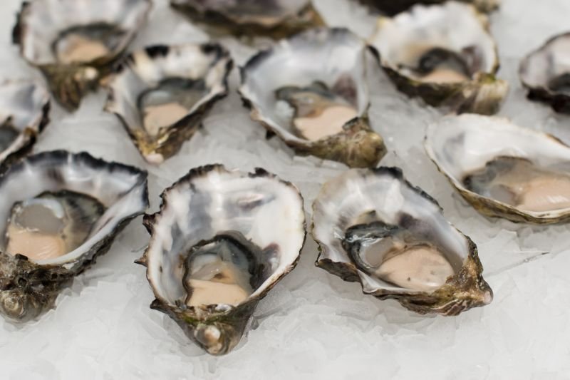 Are Oysters Vegan?